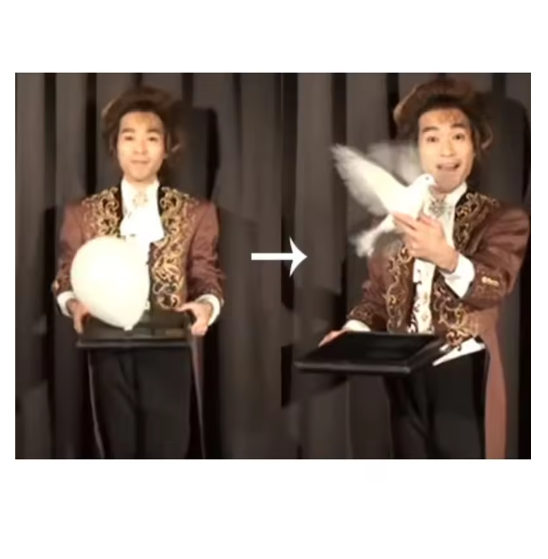 Balloon Dove Tray Magic Tricks Object Appearing From Fire Tray Magie Magician Stage Illusions Gimmick Mentalism Accessories Fun