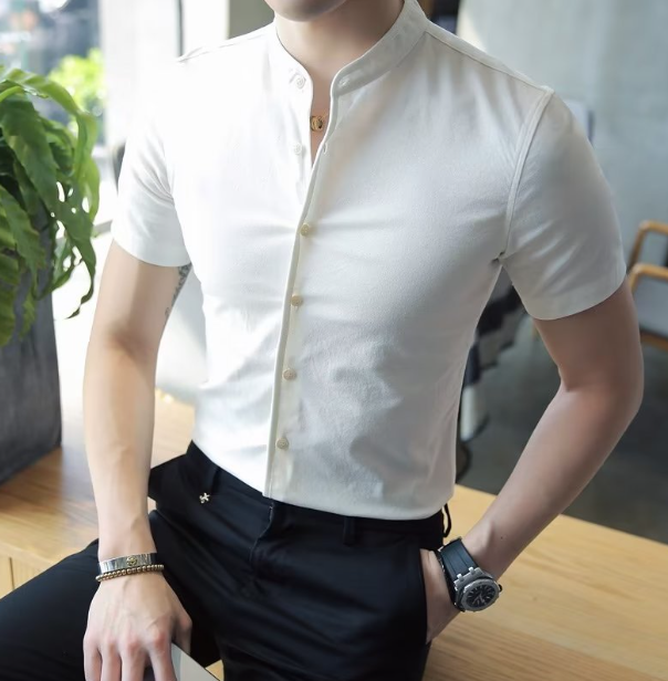 Men's shirt short sleeve trend slim fit versatile Korean style shirt high-end handsome stand collar work hairdresser clothing