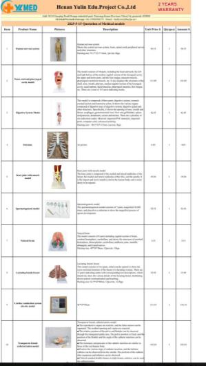 Automatic External Defibrillator (AED) Medical Anatomical Model Plastic Simulated AED Defibrillation Training Model for Teaching