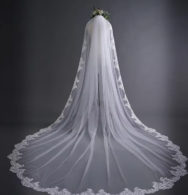 New design high quality 3m Veil Wedding Bridal Veil Lace Trailing Wedding Veil