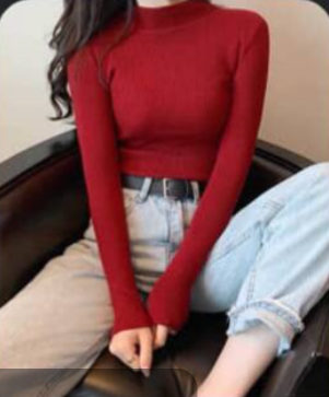 Half turtleneck sweater bottoming shirt women's Korean style sweater pullover niche all-match slim tight knit sweater chic top