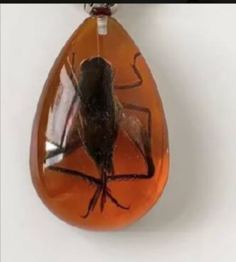 Nice Bugs Gift Personalized Necklace