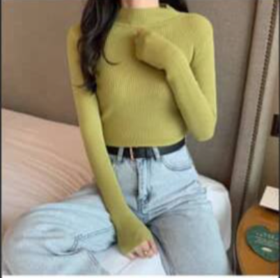 Half turtleneck sweater bottoming shirt women's Korean style sweater pullover niche all-match slim tight knit sweater chic top