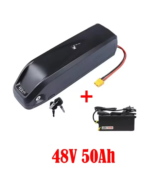 Original 48V 36V 52V 20AH Hailong ebike Battery 40AH BMS for 350W 500W 750W 1000W Motor and duty-free gift charger