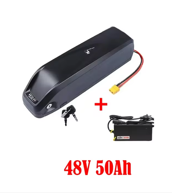 Original 48V 36V 52V 20AH Hailong ebike Battery 40AH BMS for 350W 500W 750W 1000W Motor and duty-free gift charger