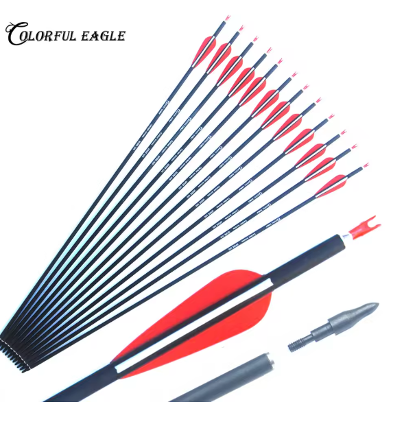 New Spine500 Archery Carbon Arrows Hunting With Replaceable Arrowhead 28"/30"/31" Length for Compound Recurve Bow