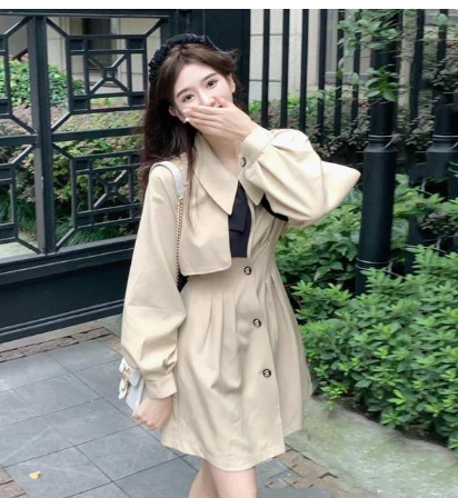 Long Sleeve Dress Women French Style Tunic Peter Pan Collar Streetwear Mini Sweet Aesthetic Retro Autumn Bow Cute Daily A-line