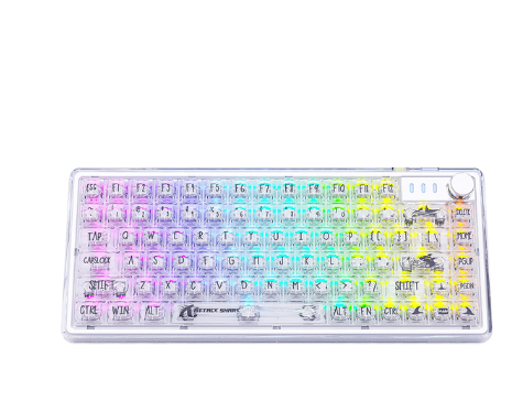 K75 Mechanical Keyboard Transparent RGB Hot Swap Dual ISSP Mute Full-key Axis Girls 82 Keys Wired Gaming Keyboard