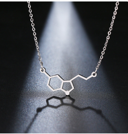 DOTIFI Stainless Steel Necklace For Women erotonin Molecule Chemistry Geometric Polygon Pendant Necklace Engagement Jewelry