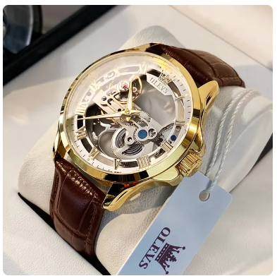 OLEVS Luxury Men Watches Automatic Mechanical Wristwatch Skeleton Design Waterproof Leather Strap Male Watch Reloj Hombre