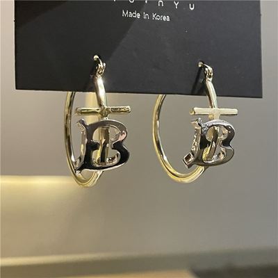 hoop earrings female temperament round personality earrings