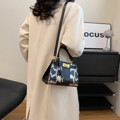 European and American snake pattern texture bag for women 2023 new simple crossbody bag fashion casual shoulder bag French niche hand