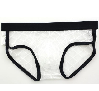 Sexy Mens Mesh Underwear Penis Pouch Cueca Gay Underpants Man Transparent Men Briefs Calzoncillos Hombre Panties Shorts HT021