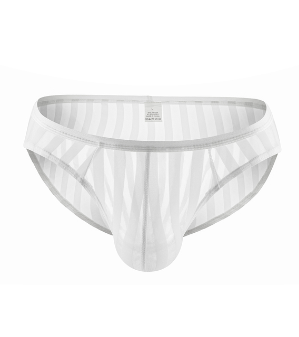 Brand New Men Briefs Sexy Mesh Underpant Transparent Ultra Thin Underwear Slips Stripe Panties Penis Pouch Erotic Lingerie