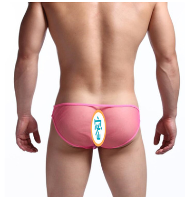 See Though Mesh Low Waist Men Briefs