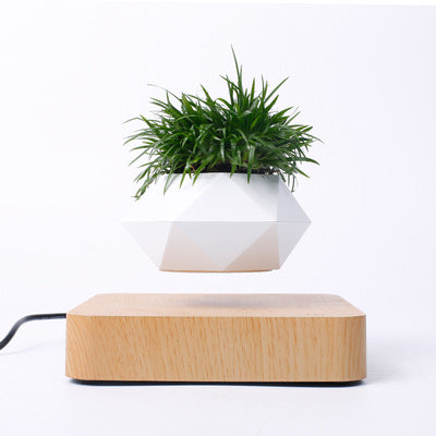 Maglev potted bedroom Valentine's day birthday gift creative decoration simple modern green plant office decorations