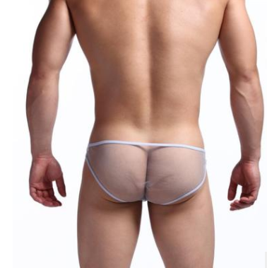 See Though Mesh Low Waist Men Briefs