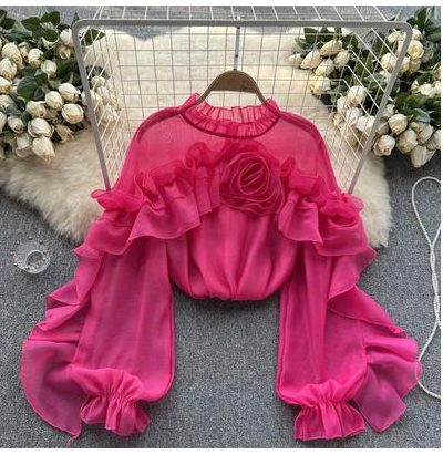 Design sense irregular ruffled mesh shirt women's spring and autumn pullover pleats small crowd slim chic chic top tide