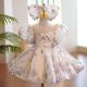 Girls Princess Dress Flower Girl Wedding Little Girl Wedding Dress Host Children's Dress Piano Costum