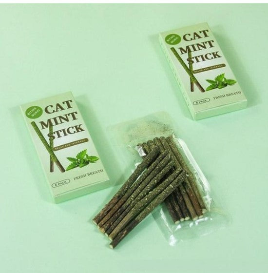 6 Sticks/box Cat Chews Products All Natural Catnip Sticks Wood Tengo Molar Sticks Teeth Cleaning Cat Sticks for Cats of All Ages