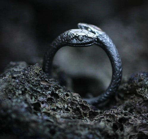 Gothic Double Snake Head Stainless Steel Ring Punk Snake Reptile Jewelry Unique Neutral Black Adjustable Ring Does Not Rust