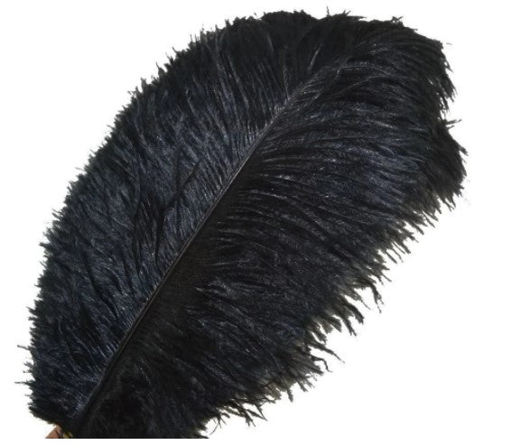 Wholesale Hard Rod 10Pcs/Lot Natural Black Ostrich Feathers for Crafts 15-75CM Carnival Costumes Wedding Accessories Decoration